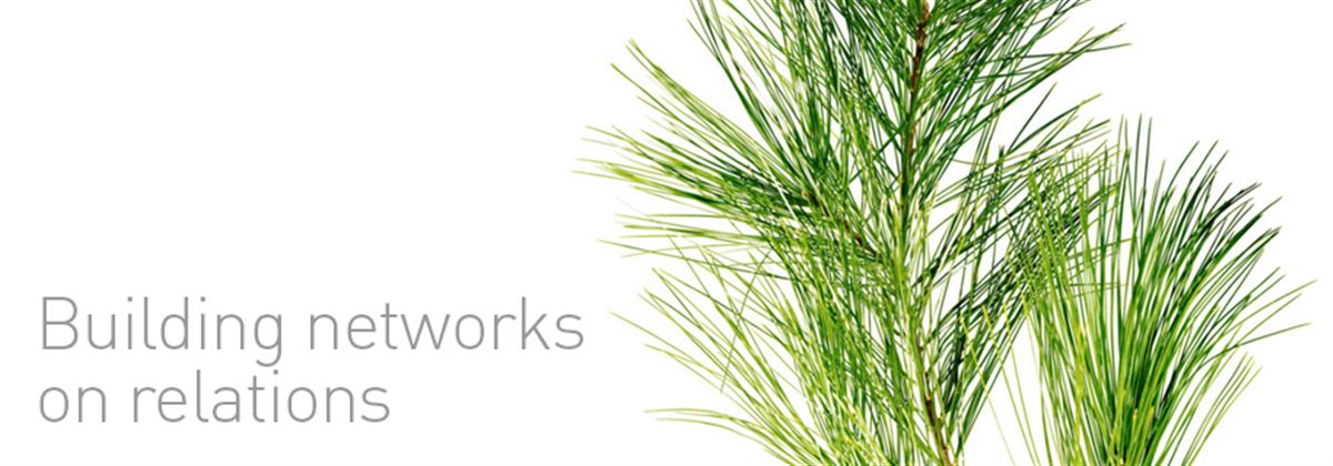 Building networks on relations